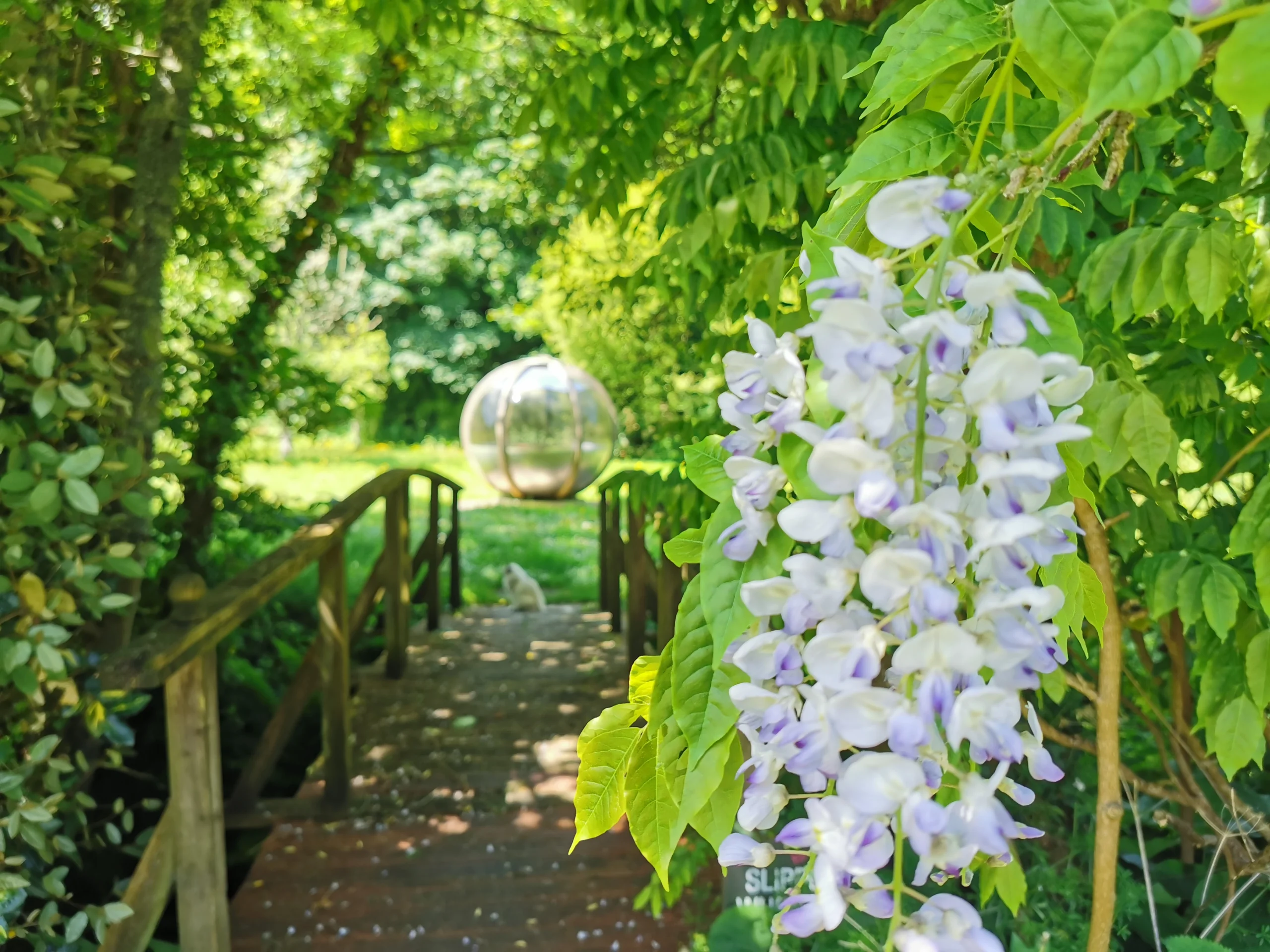 Bridge ocer the stream at Rose in Vale Country House Hotel Bridge over the stream at Rose in Vale Country House Hotel
